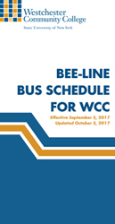 Beeline Bus Schedule Thumbnail Graphic