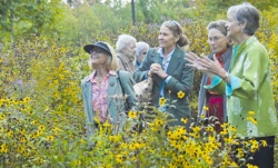 Native Plant Center Image