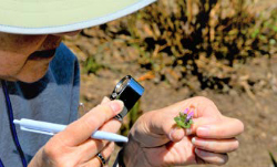 Native Plant Center Image