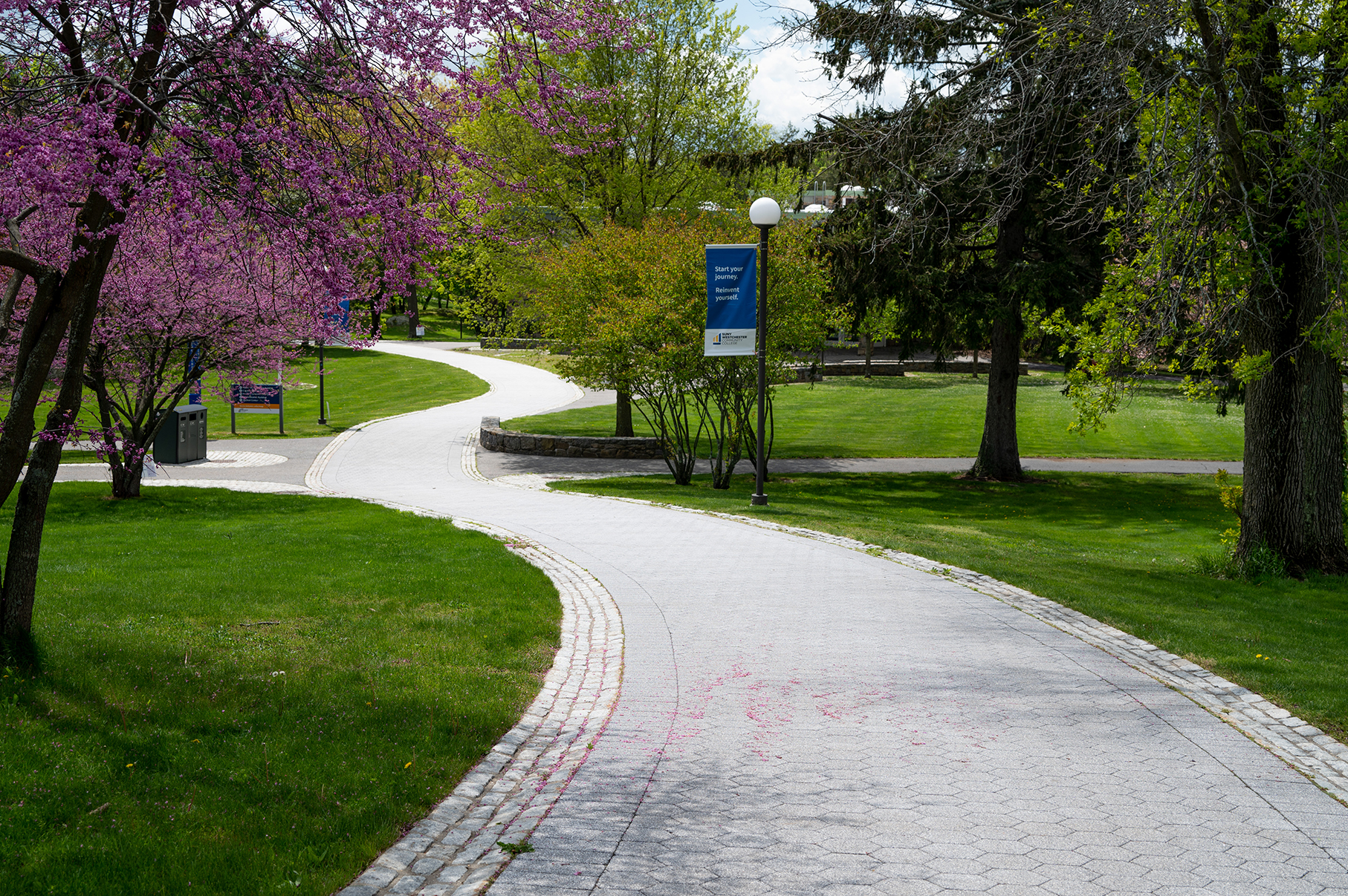 campus-0004