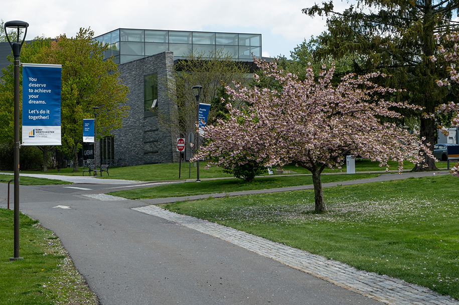 campus-0009