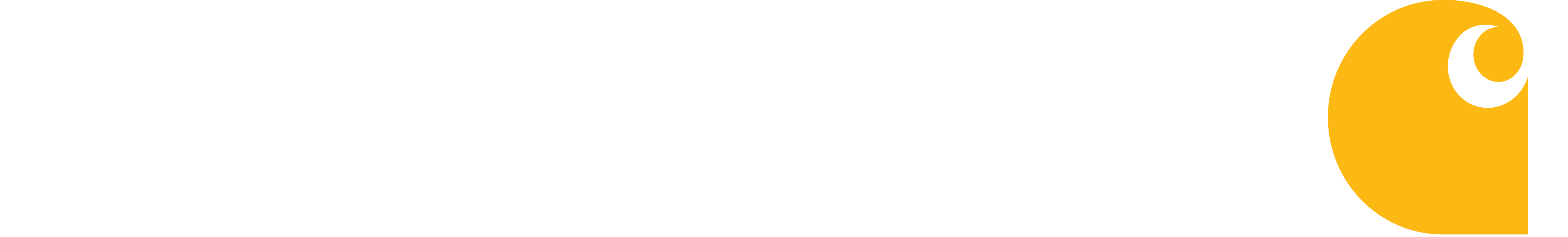 carhartt1