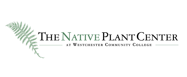 NPC LOGO