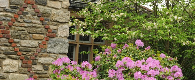 Valhalla main campus building and flowers