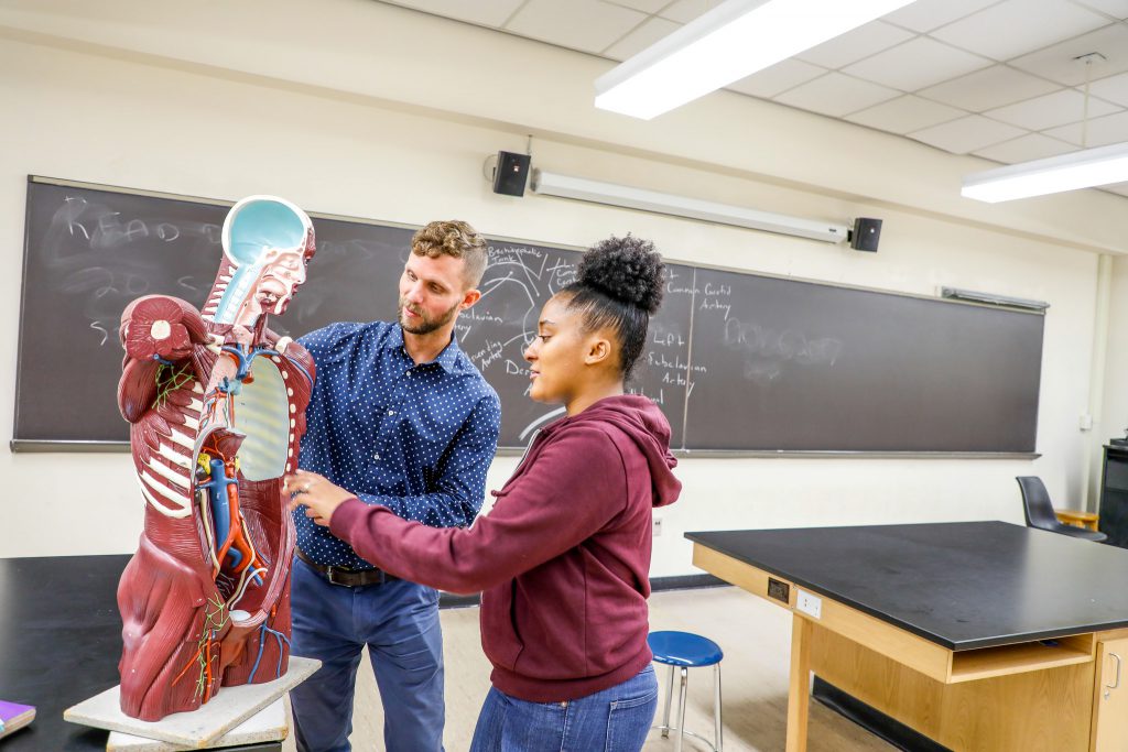 Student reviewing an anatomy model with a professor