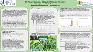 Research poster: Do Native Gardens Mitigate Pollinator Decline