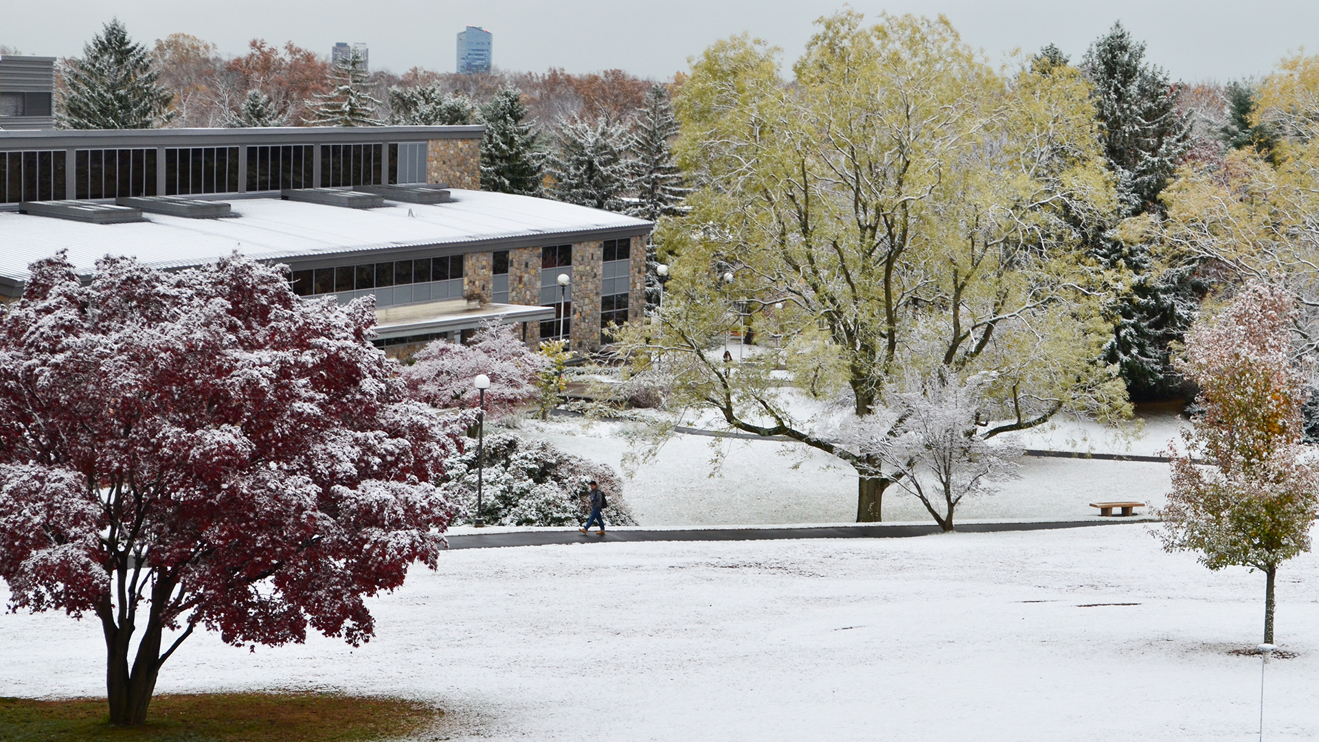 Winter-Campus-1
